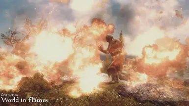 World in Flames